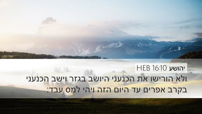 יהושע 16:10 HEB Bible Verse Image