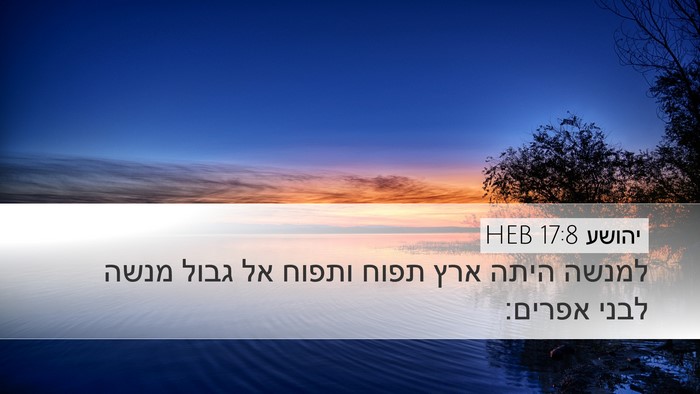 יהושע 17:8 HEB Desktop Wallpaper - למנשה היתה ארץ תפוח ותפוח - Desktop Bible Verse Wallpaper