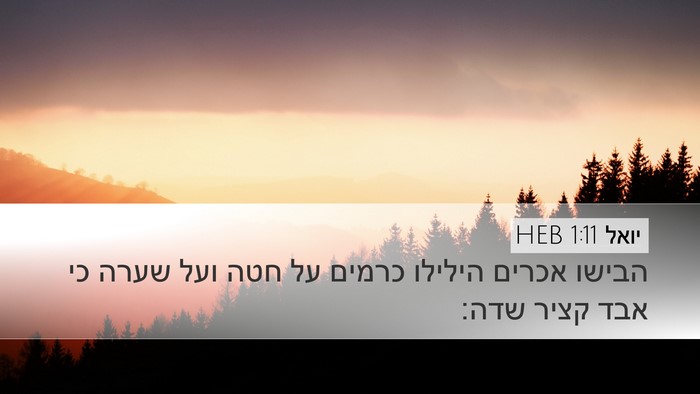 יואל 1:11 HEB Bible Verse Image