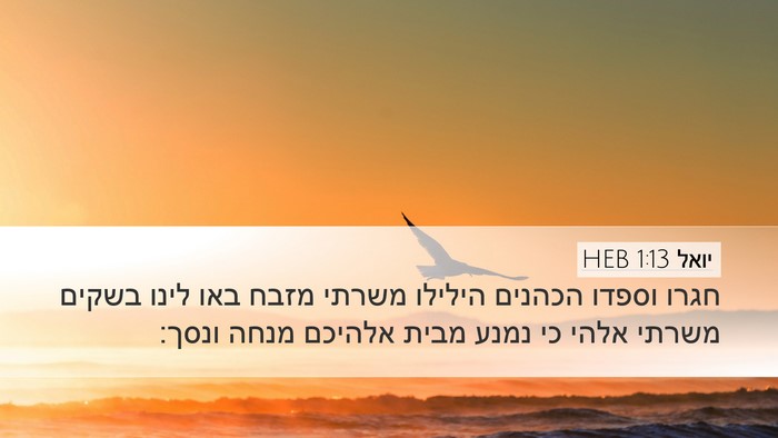 יואל 1:13 HEB Bible Verse Image