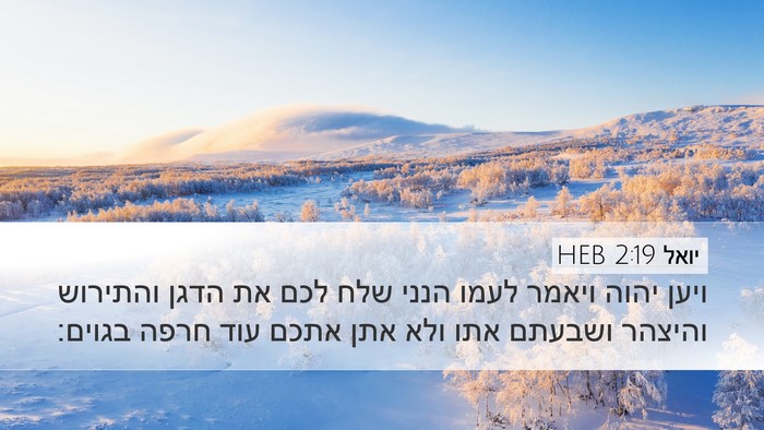 יואל 2:19 HEB Bible Verse Image