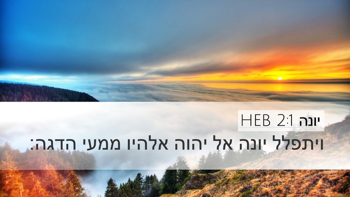 יונה 2:1 HEB Desktop Wallpaper - ויתפלל יונה אל יהוה אלהיו - Desktop Bible Verse Wallpaper