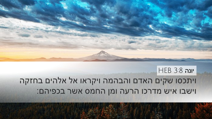יונה 3:8 HEB Bible Verse Image