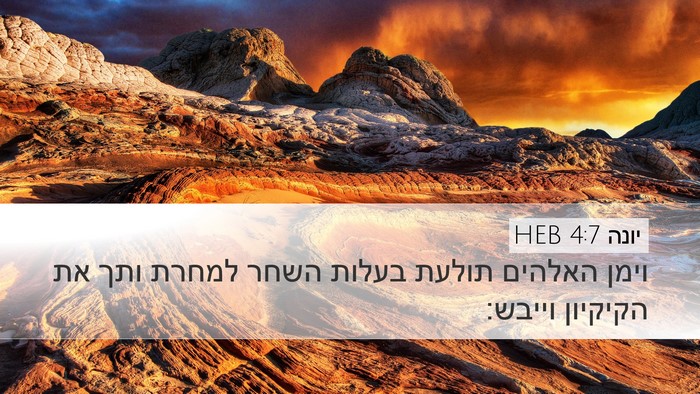 יונה 4:7 HEB Desktop Wallpaper - וימן האלהים תולעת בעלות - Desktop Bible Verse Wallpaper