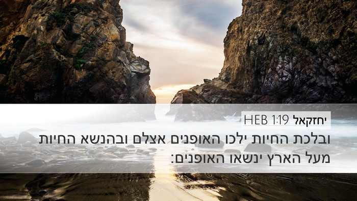 יחזקאל 1:19 HEB Desktop Wallpaper - ובלכת החיות ילכו האופנים - Desktop Bible Verse Wallpaper