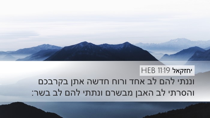 יחזקאל 11:19 HEB Bible Verse Image