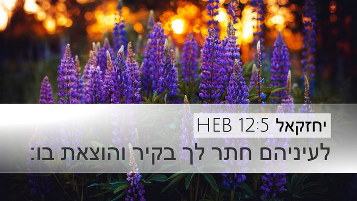 יחזקאל 12:5 HEB Bible Verse Image