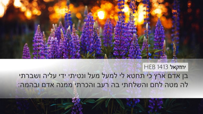 יחזקאל 14:13 HEB Bible Verse Image