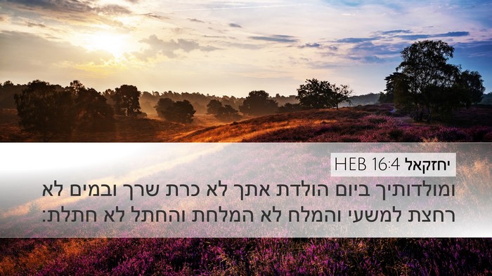 יחזקאל 16:4 HEB Bible Verse Image