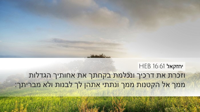 יחזקאל 16:61 HEB Bible Verse Image