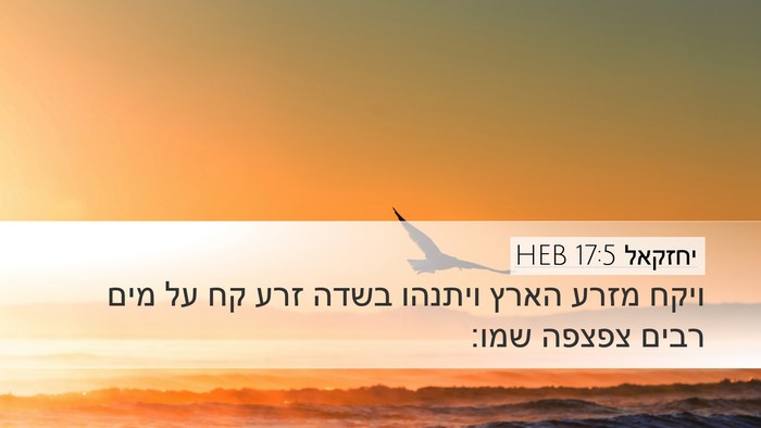 יחזקאל 17:5 HEB Bible Verse Image