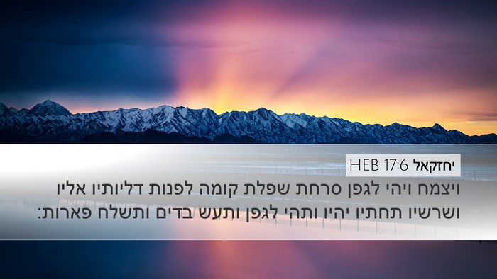 יחזקאל 17:6 HEB Bible Verse Image