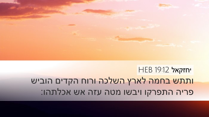 יחזקאל 19:12 HEB Bible Verse Image