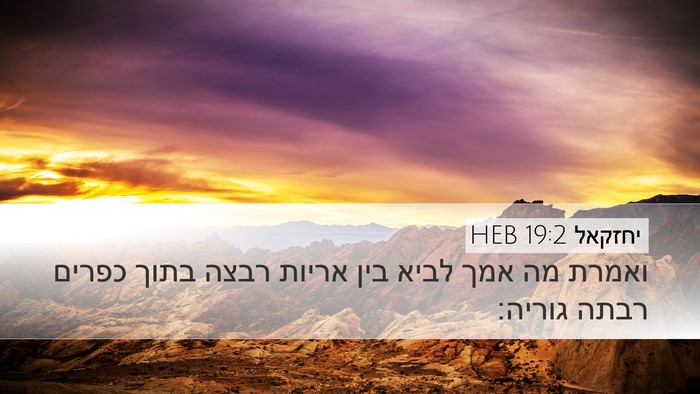 יחזקאל 19:2 HEB Bible Verse Image