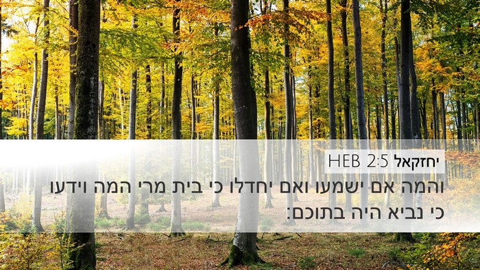 יחזקאל 2:5 HEB Bible Verse Image