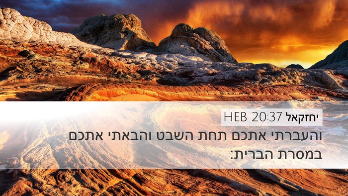 יחזקאל 20:37 HEB Bible Verse Image
