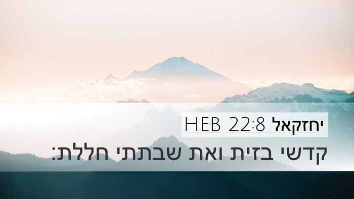 יחזקאל 22:8 HEB Bible Verse Image