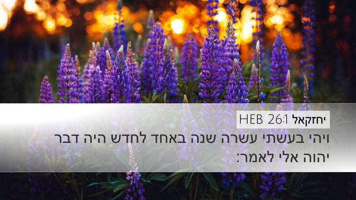 יחזקאל 26:1 HEB Bible Verse Image