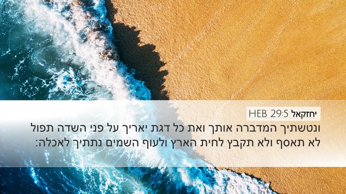 יחזקאל 29:5 HEB Bible Verse Image
