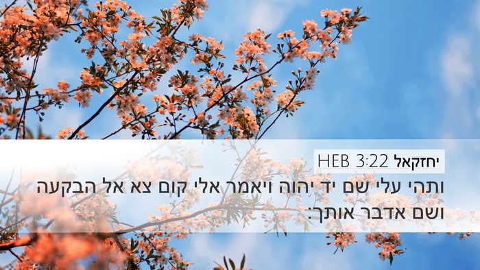 יחזקאל 3:22 HEB Bible Verse Image