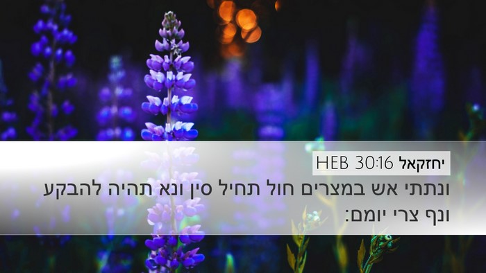 יחזקאל 30:16 HEB Bible Verse Image