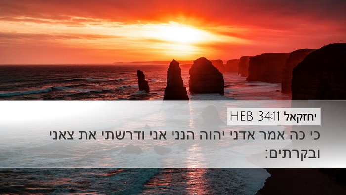 יחזקאל 34:11 HEB Bible Verse Image