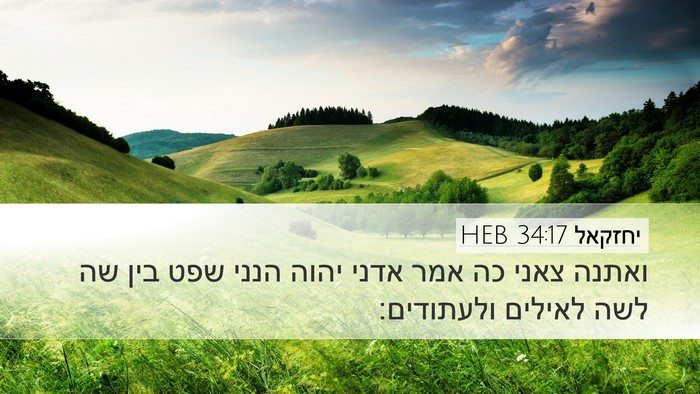 יחזקאל 34:17 HEB Bible Verse Image