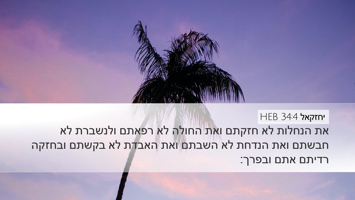יחזקאל 34:4 HEB Bible Verse Image