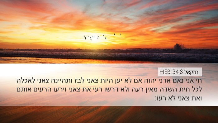 יחזקאל 34:8 HEB Bible Verse Image