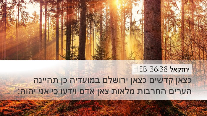 יחזקאל 36:38 HEB Bible Verse Image
