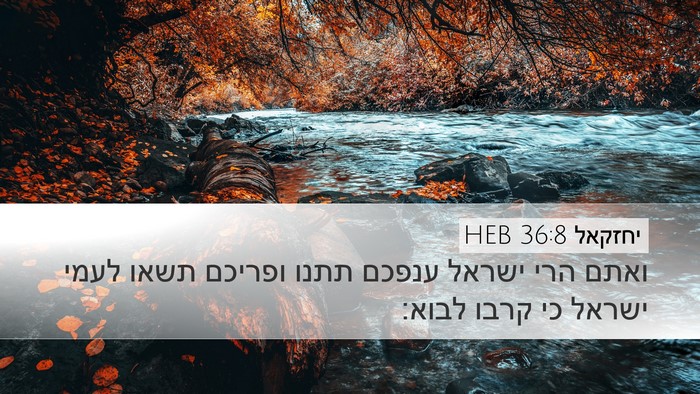 יחזקאל 36:8 HEB Bible Verse Image