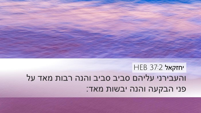 יחזקאל 37:2 HEB Bible Verse Image