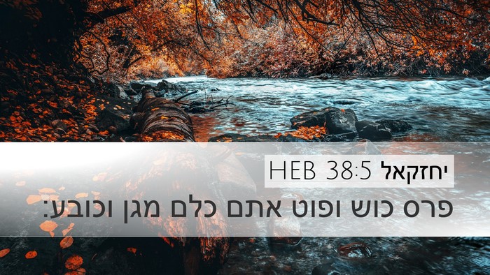 יחזקאל 38:5 HEB Bible Verse Image