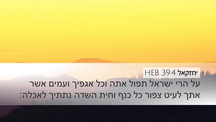 יחזקאל 39:4 HEB Bible Verse Image