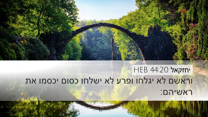יחזקאל 44:20 HEB Bible Verse Image