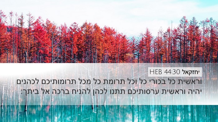 יחזקאל 44:30 HEB Bible Verse Image