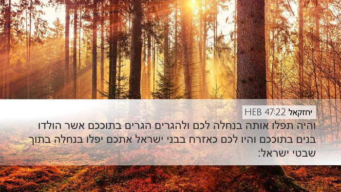 יחזקאל 47:22 HEB Bible Verse Image