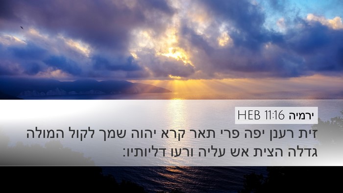 ירמיה 11:16 HEB Bible Verse Image