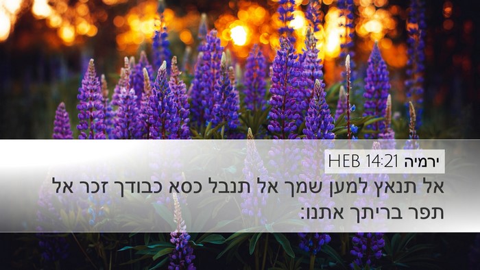 ירמיה 14:21 HEB Bible Verse Image