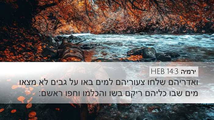 ירמיה 14:3 HEB Bible Verse Image
