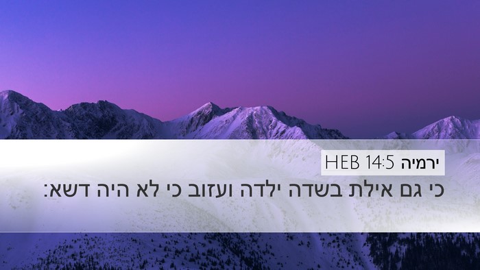 ירמיה 14:5 HEB Bible Verse Image