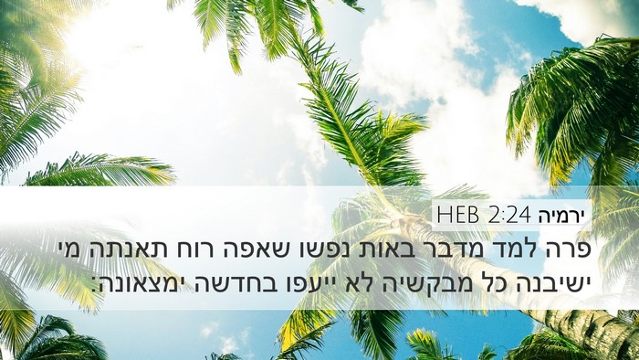 ירמיה 2:24 HEB Bible Verse Image