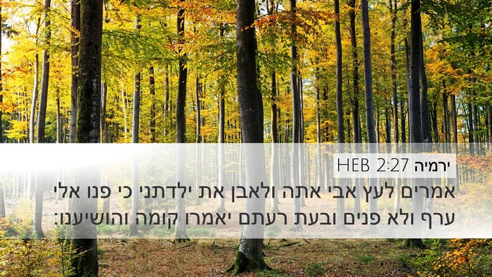 ירמיה 2:27 HEB Bible Verse Image