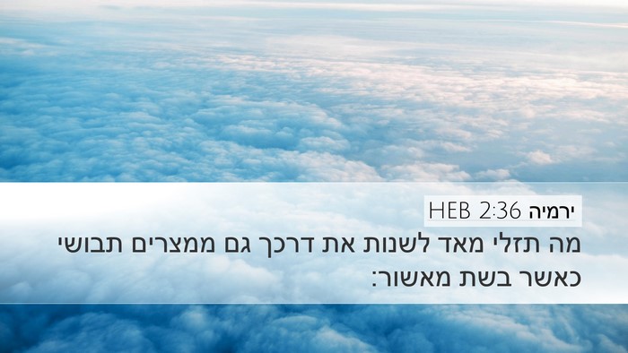 ירמיה 2:36 HEB Bible Verse Image