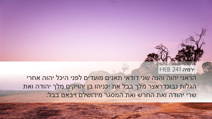 ירמיה 24:1 HEB Bible Verse Image