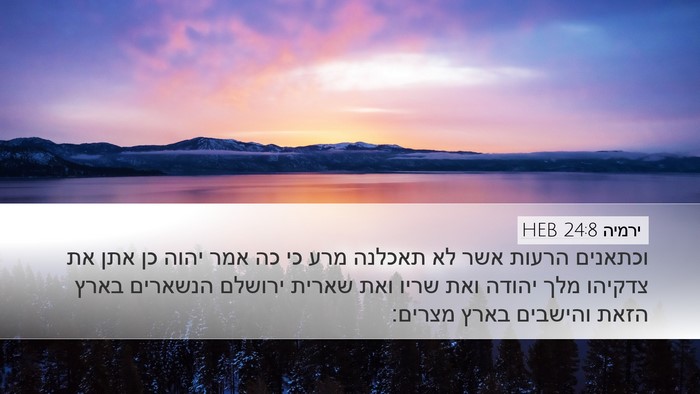 ירמיה 24:8 HEB Bible Verse Image
