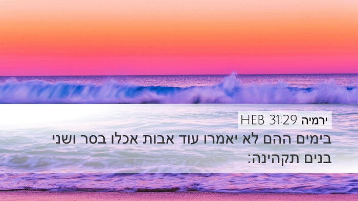 ירמיה 31:29 HEB Bible Verse Image