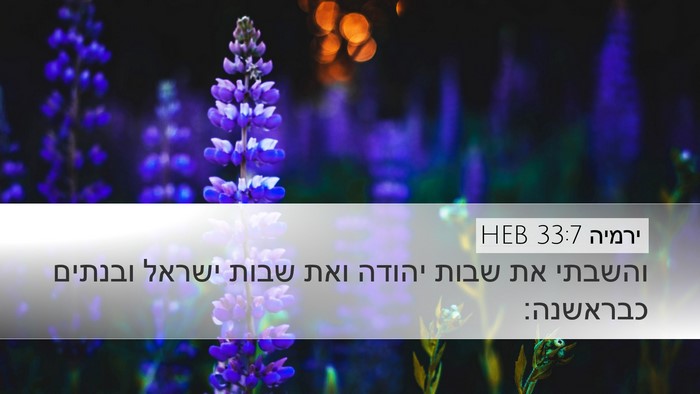 ירמיה 33:7 HEB Bible Verse Image