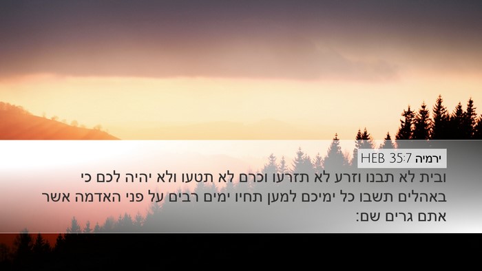 ירמיה 35:7 HEB Bible Verse Image