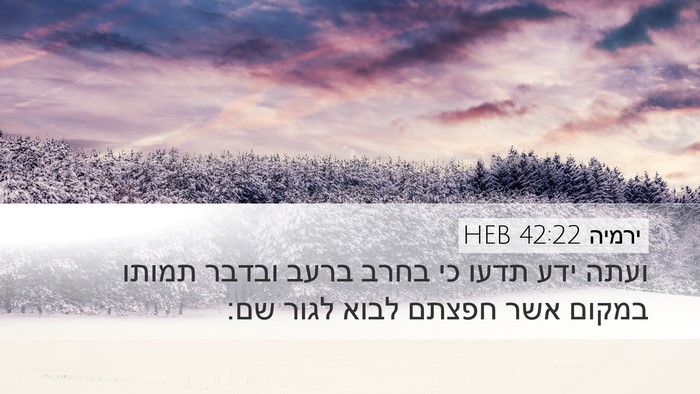 ירמיה 42:22 HEB Bible Verse Image